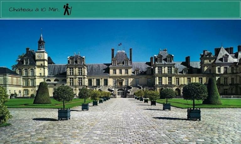Centre Chateau Apartment *